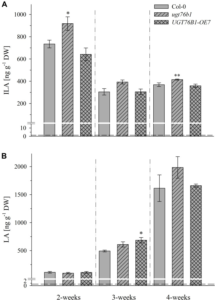 FIGURE 4