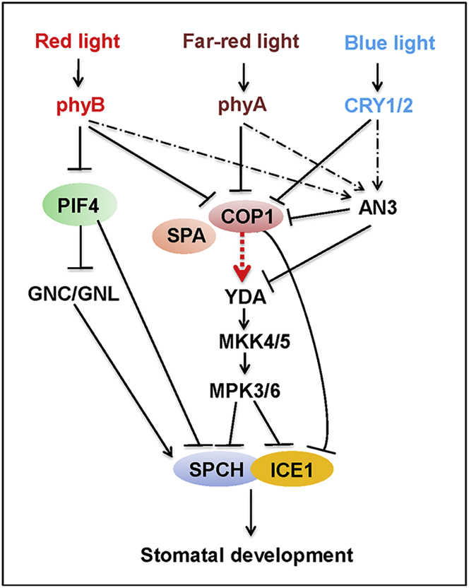 Figure 2