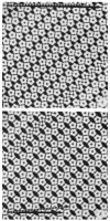 Fig.3