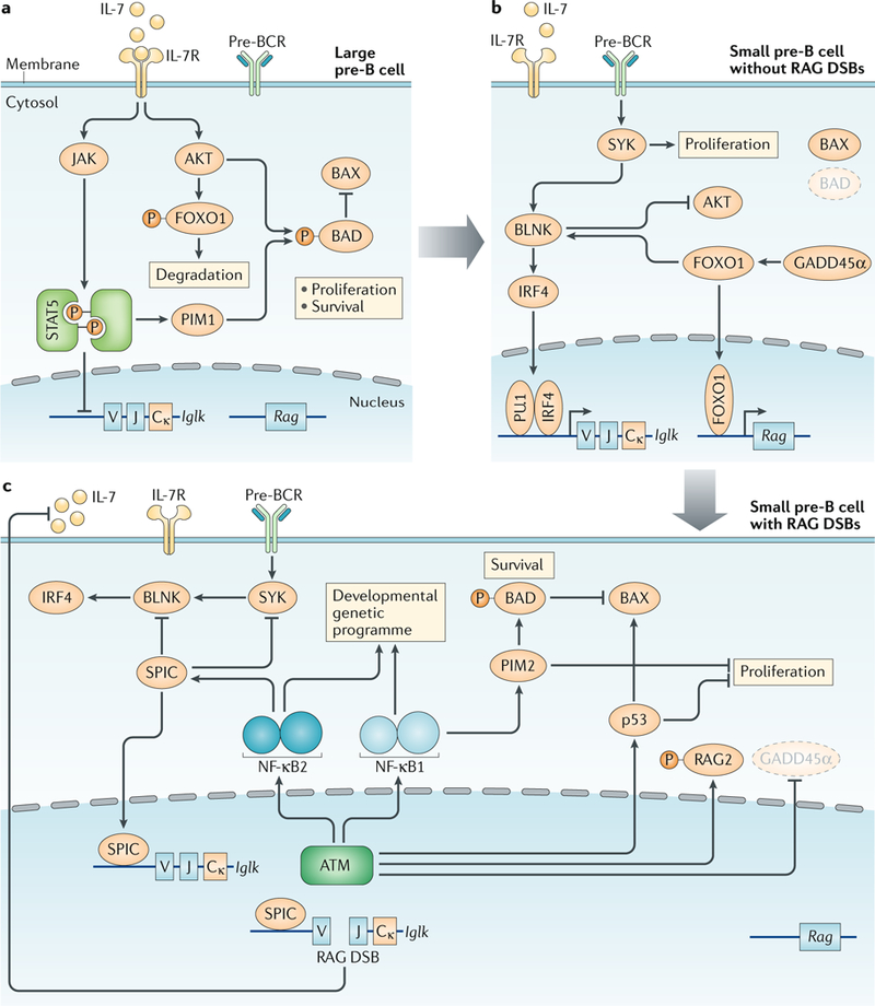 Fig. 3:|