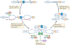 Fig. 6:|