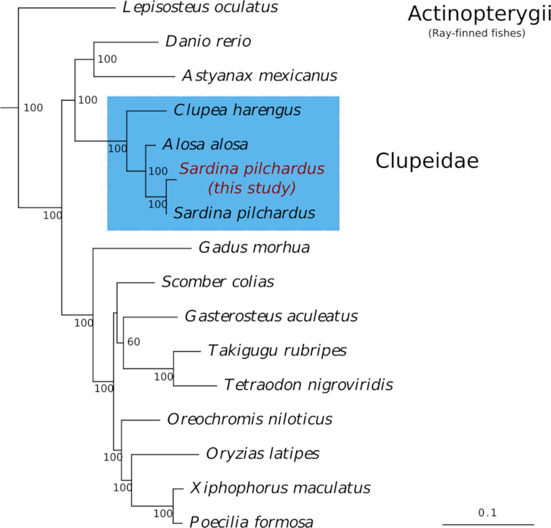 Figure 4: