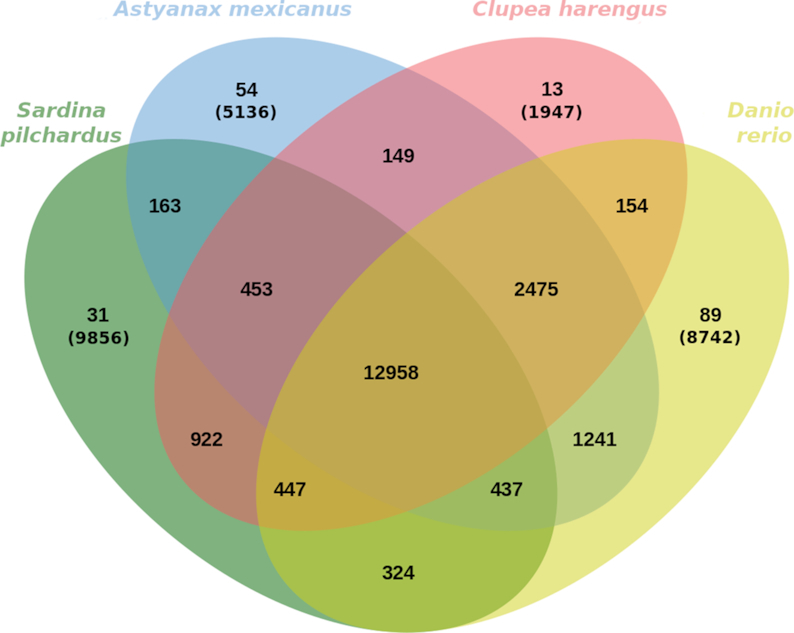 Figure 3: