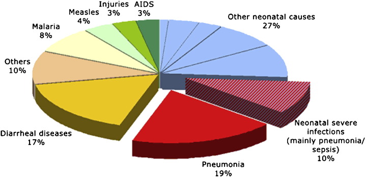 Fig. 1