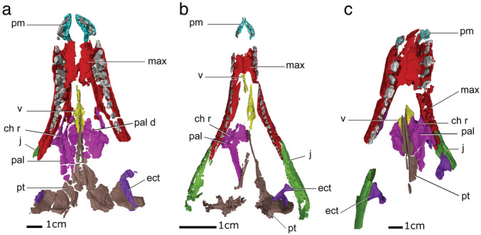 FIGURE 1