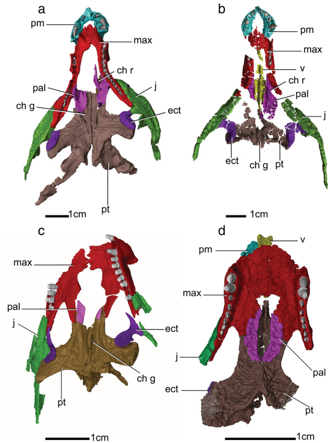 FIGURE 3