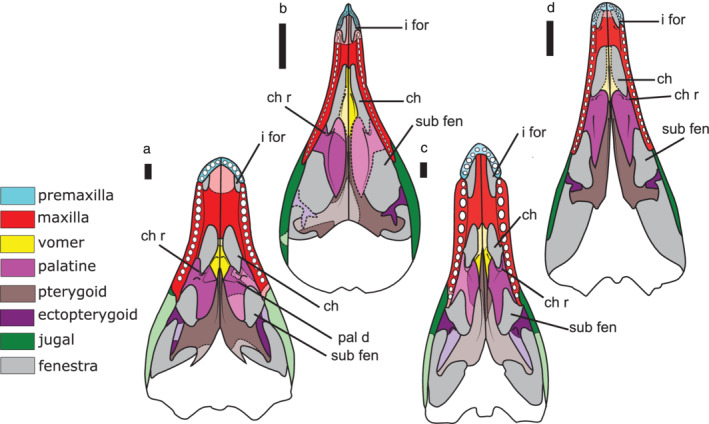 FIGURE 2