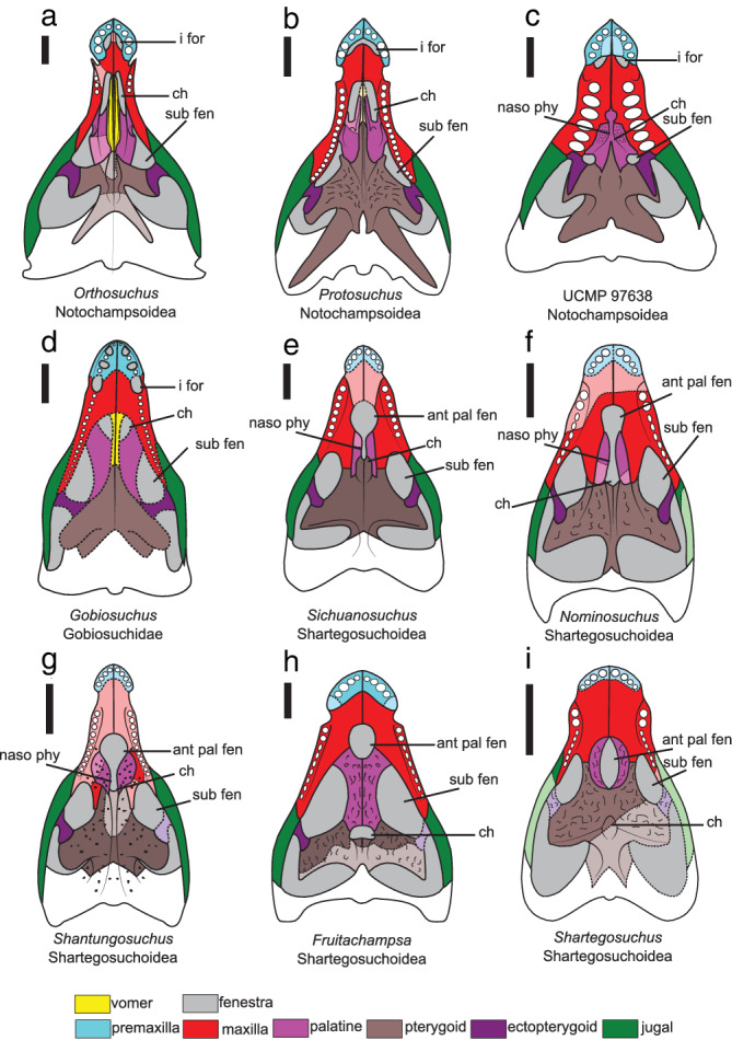 FIGURE 4