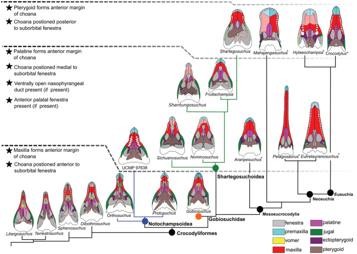 FIGURE 6