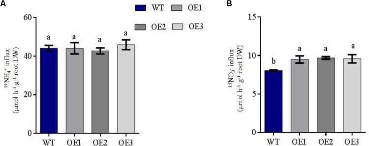 FIGURE 3