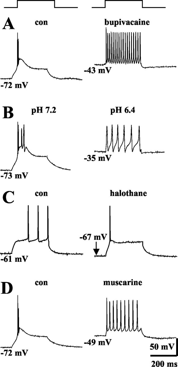 Figure 9.