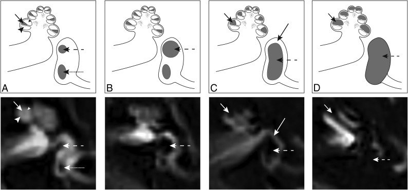 Fig 1.