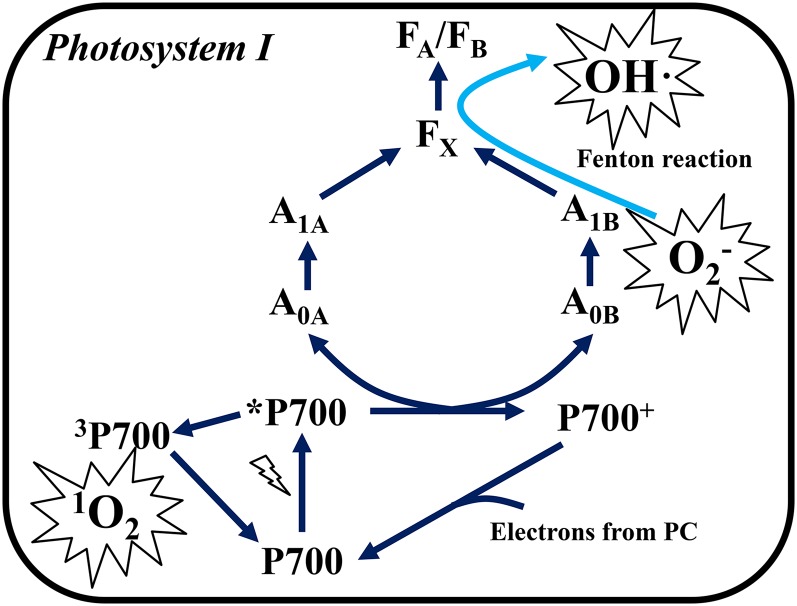 Figure 6.