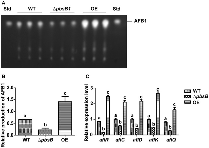 Figure 5