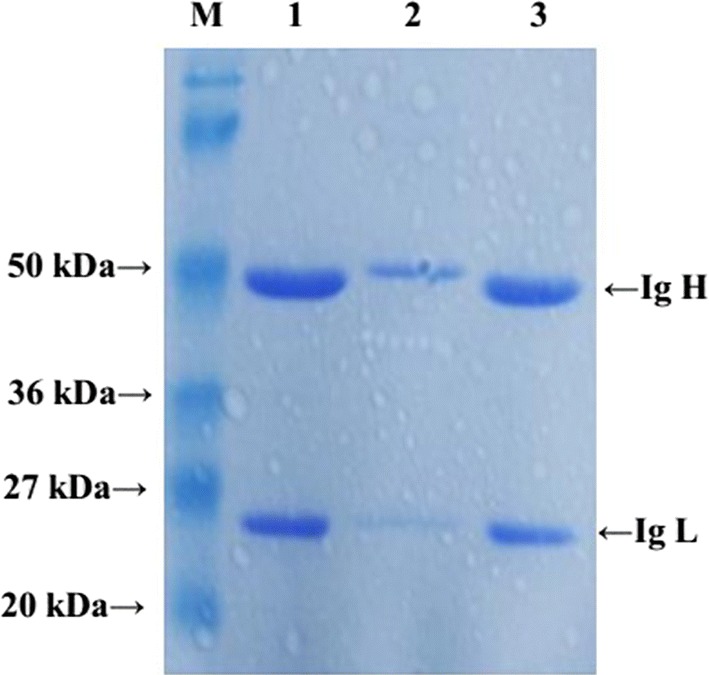 Fig. 2