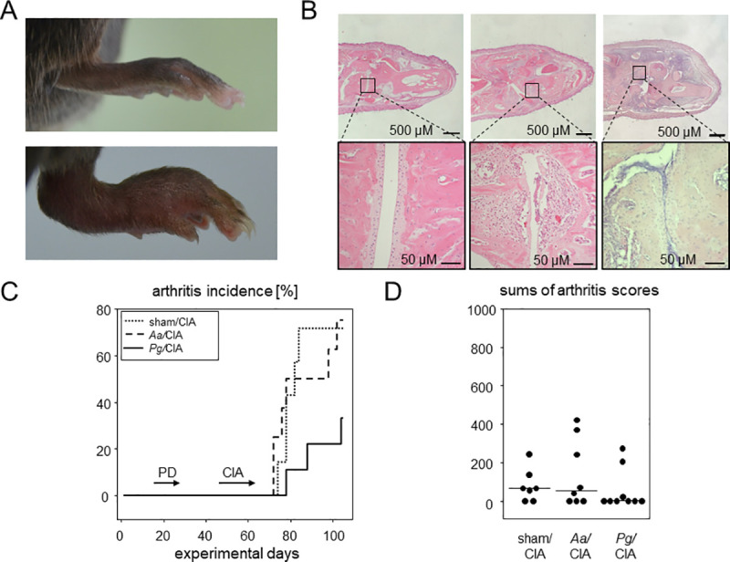 Fig 4