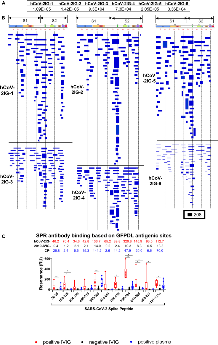 Figure 1