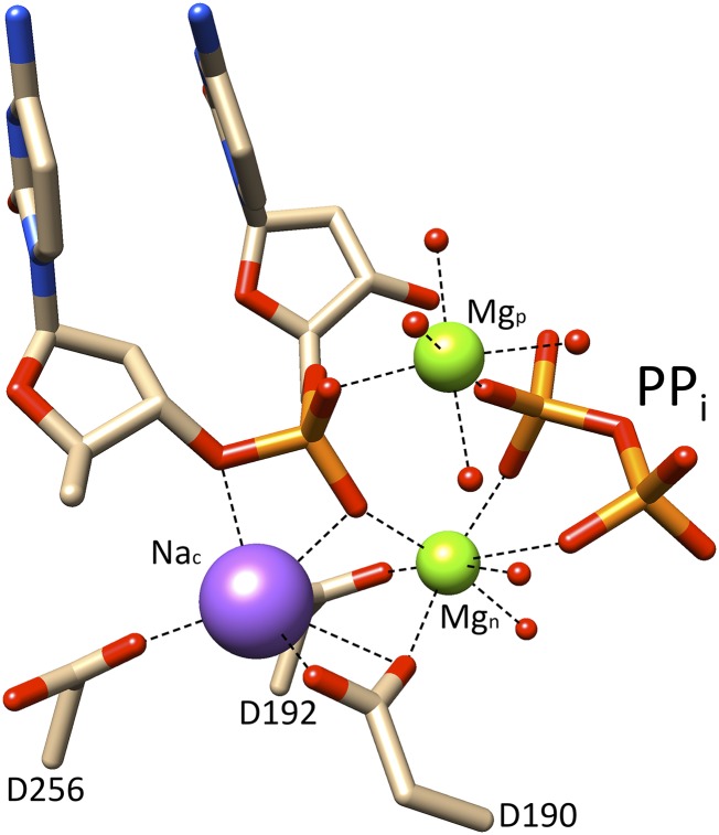 Fig. 2.