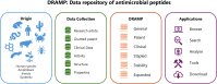 Graphical Abstract