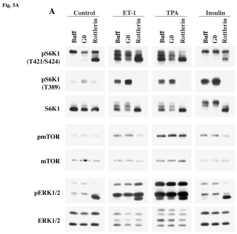 Fig 5