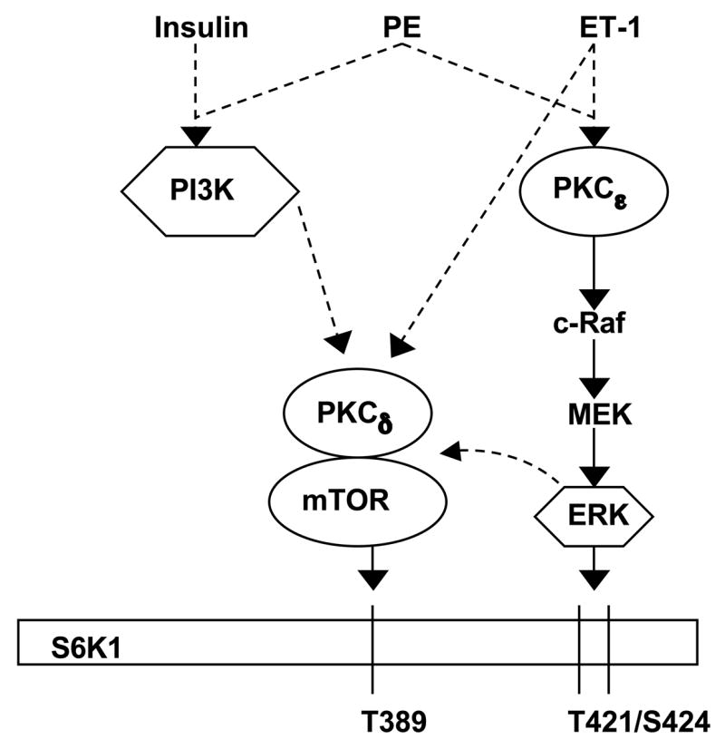 Fig 7