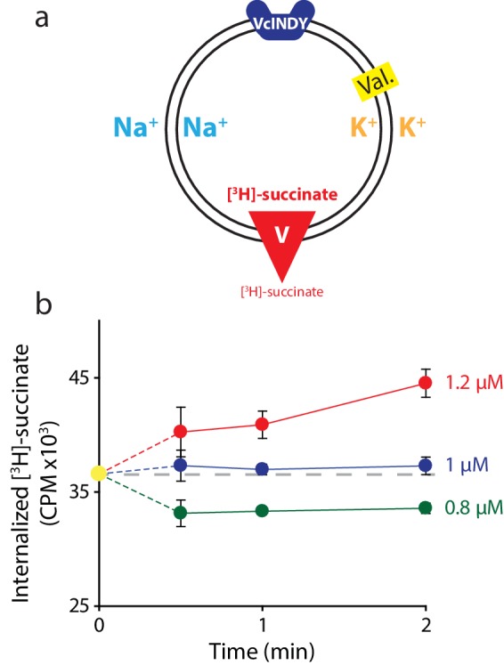 Figure 4—figure supplement 1.