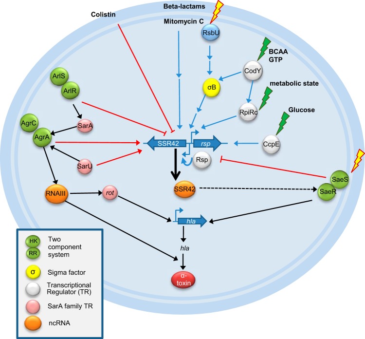 FIG 6