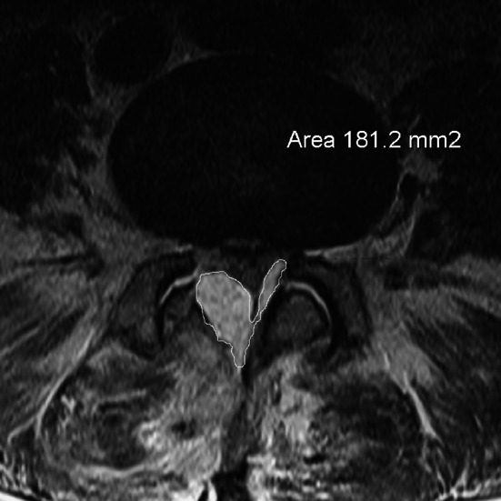 Fig. 3