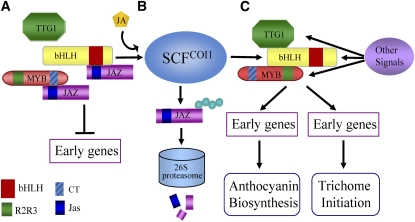 Figure 12.