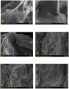 Figure 18