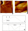 Figure 16