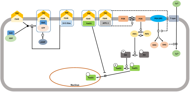 Figure 10