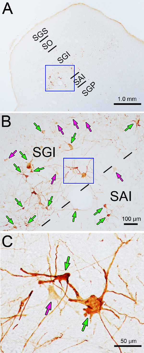 Figure 9.