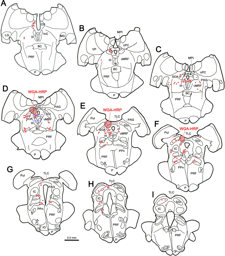 Figure 12.