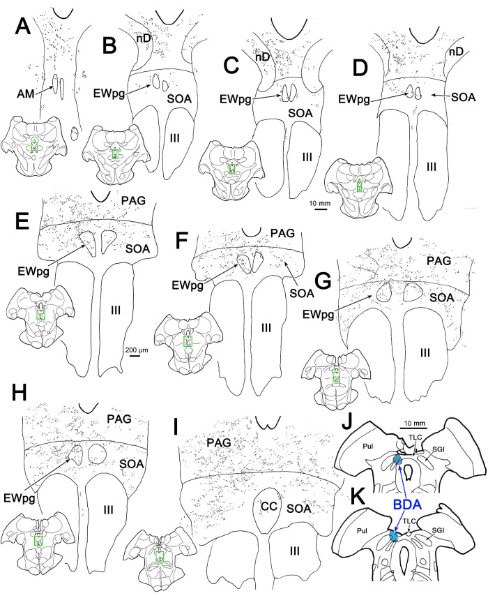 Figure 10.