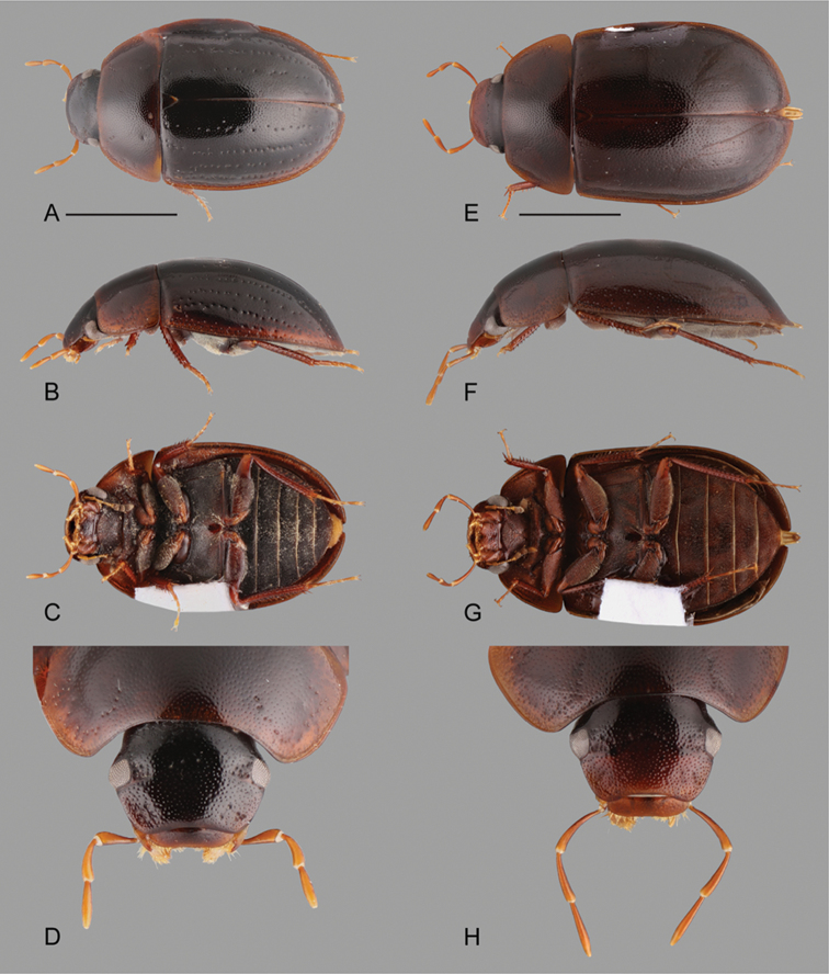 Figure 10.