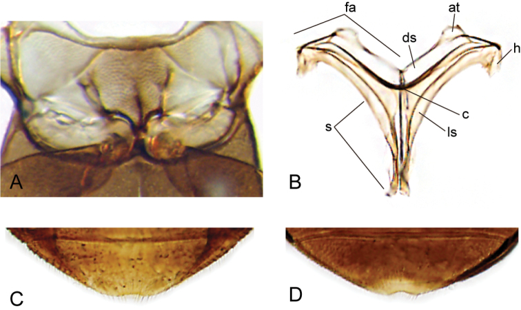 Figure 17.