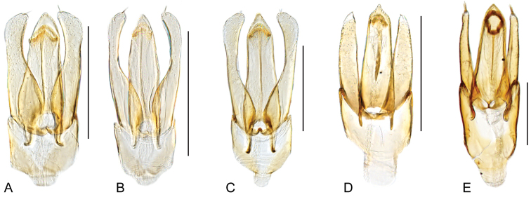 Figure 12.