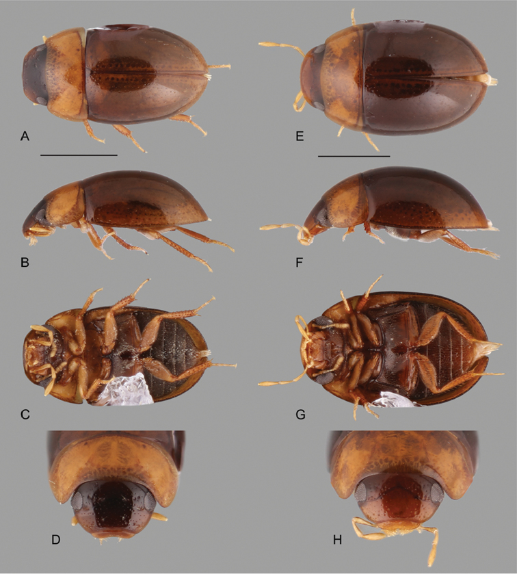 Figure 16.