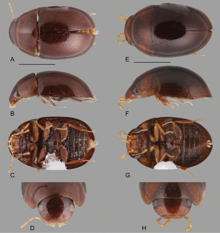 Figure 15.