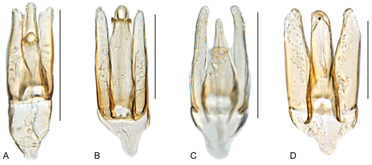 Figure 18.