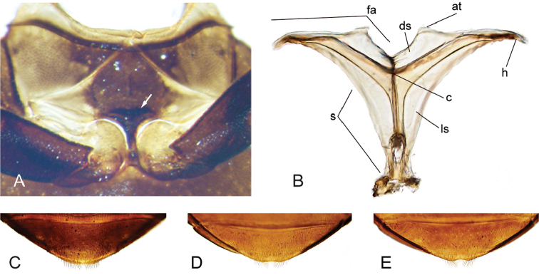 Figure 11.