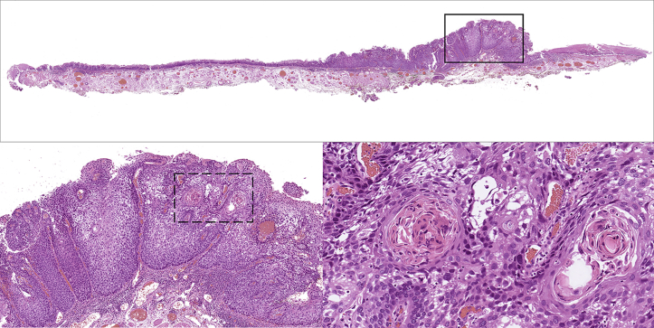 Figure 4