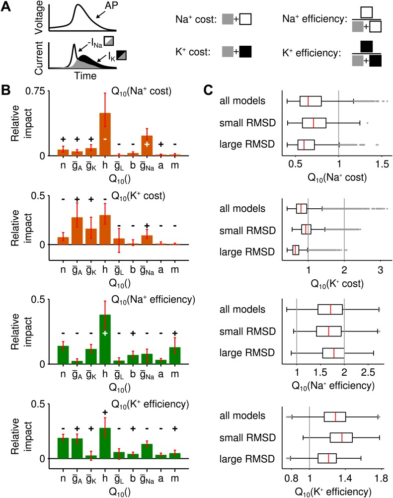 Figure 3—figure supplement 1.