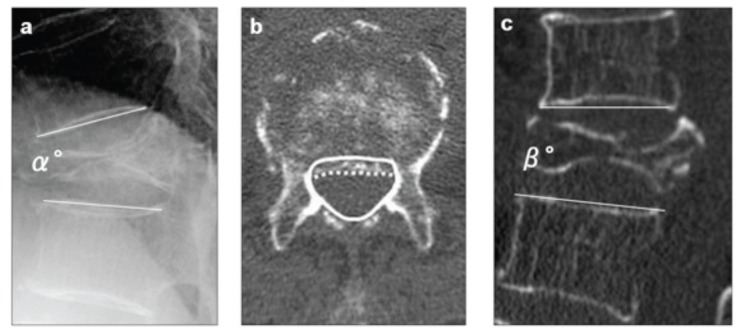 Fig. (3)