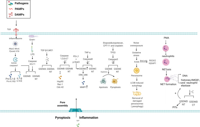 Figure 3