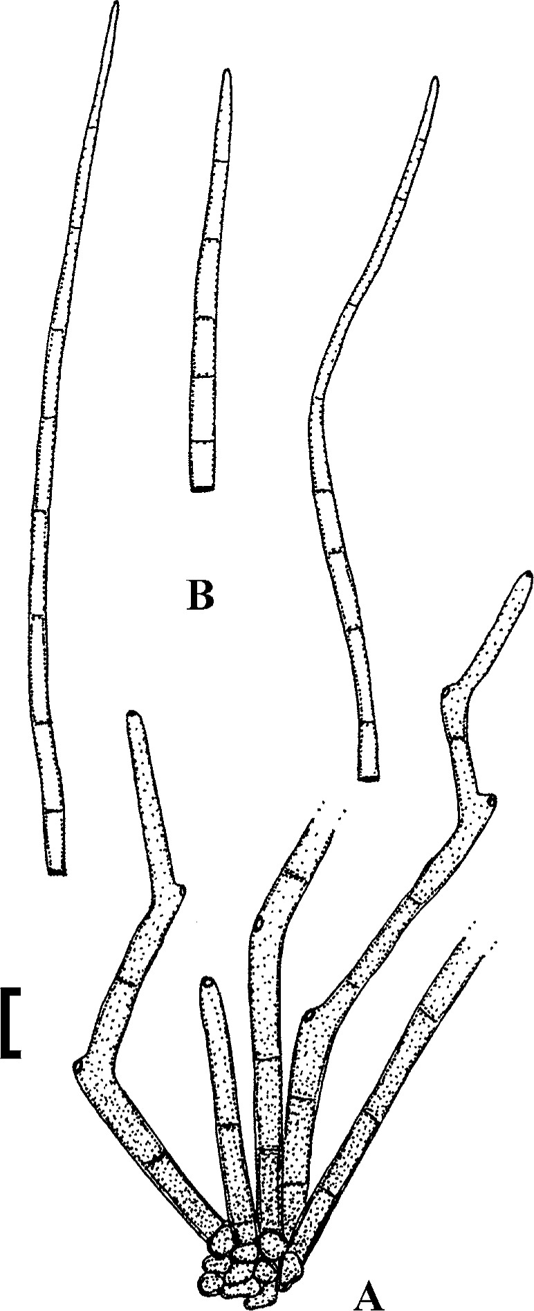 Fig. 20.