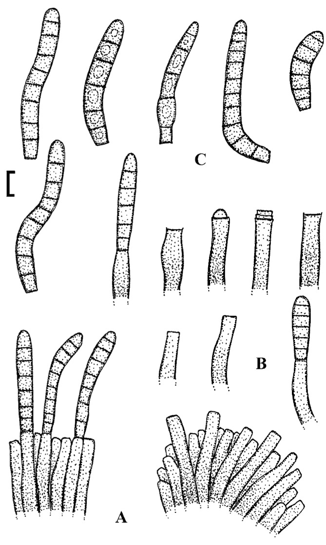 Fig. 67.