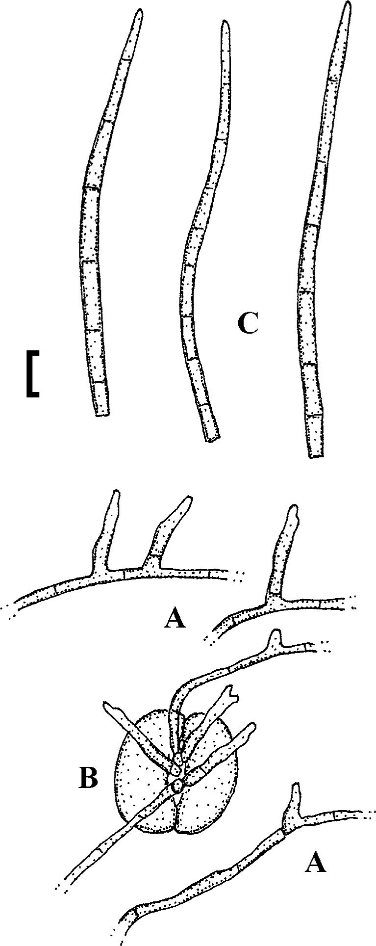 Fig. 54.