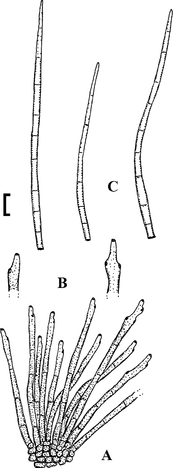 Fig. 22.